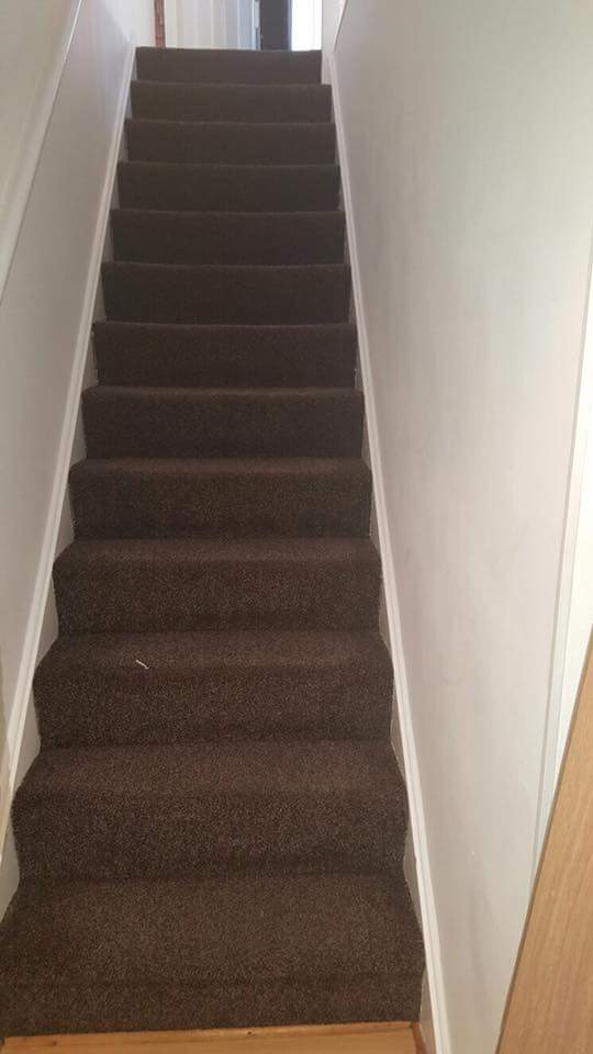 dnimaintenance's tweet photo. #carpetfitting call for an honest free quote. Female owned company https://t.co/sUBRbm04Or https://t.co/H3y7kFOgOP
