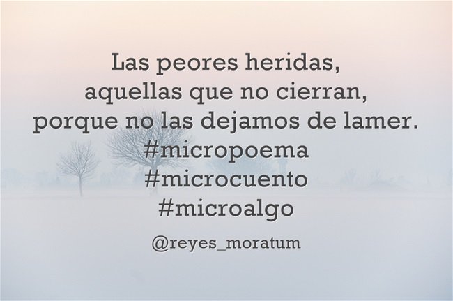 _soyreyes_'s tweet image. El pez que se muerde la cola, una y otra vez. 
#micropoema
#microcuento 
#microalgo