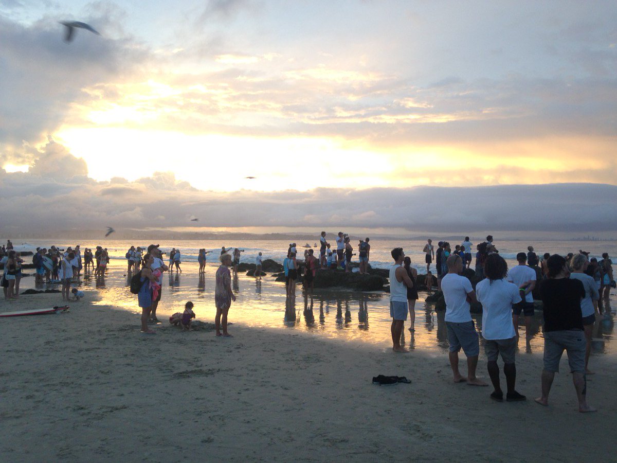 Garry Youngberry (@garryyoungberry) on Twitter photo Amazing evening at Snapper Rocks. Kelly Slater ripping some great waves! #9news <a href="/9NewsBrisbane/">9 News Brisbane</a> Amazing evening at Snapper Rocks. Kelly Slater ripping some great waves! #9news <a href="/9NewsBrisbane/">9 News Brisbane</a>