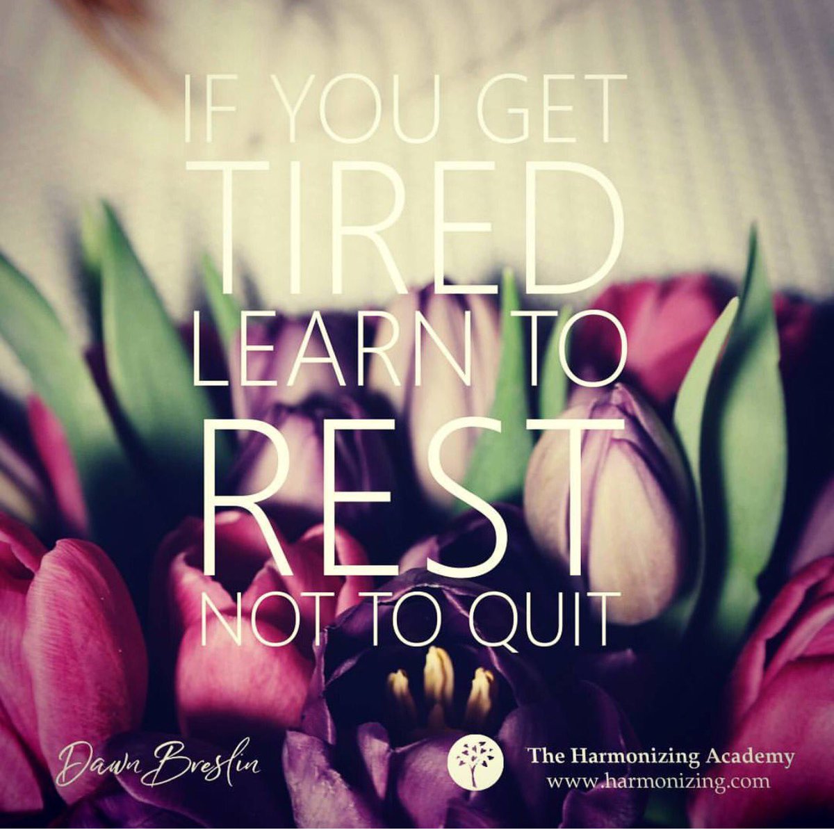 dawnbreslinuk's tweet photo. #selfcare #selflove #wellbeing #rest #slow #meditation #Mindfulness #newwaytolive https://t.co/e3Rid8okPZ