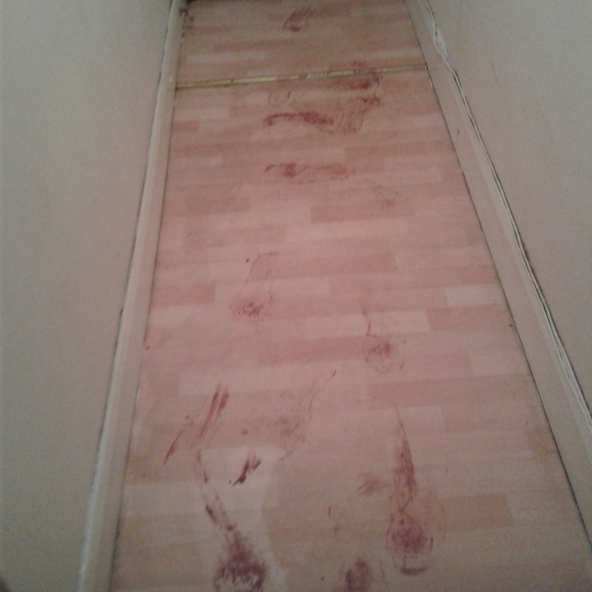 precleanltd tweet picture