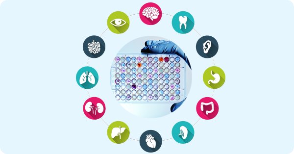 GenScript's tweet photo. New method for drug screening: Organs-on Chips https://t.co/xqee7HGrq6 #MakeResearchEasy https://t.co/DYN0SaFUCr