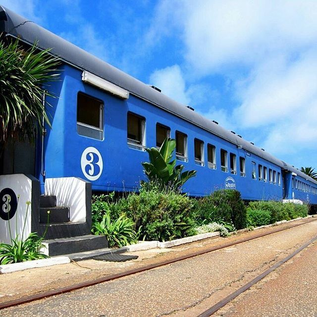 capestudies's tweet photo. Reposting @travelgroundsa:
The Santos Express offers great sea views from all its cabins!
#santosexpress #mosselbay #SouthAfrica #Travel https://t.co/bi8G9GkxMT