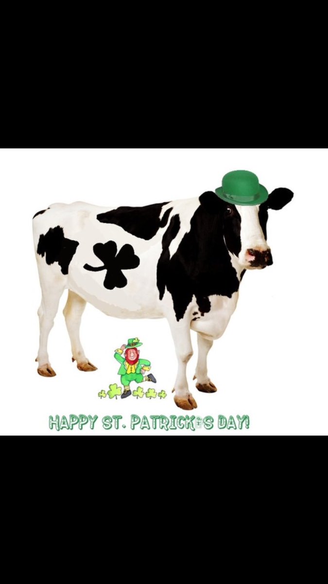 Wishing all our followers a very happy St Patrick's Day,hope you all enjoy the long weekend 🍀🍀🇮🇪🇮🇪#StPatricksDay #ShamrockSeason