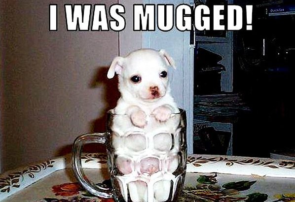 TurnThisPage tweet media