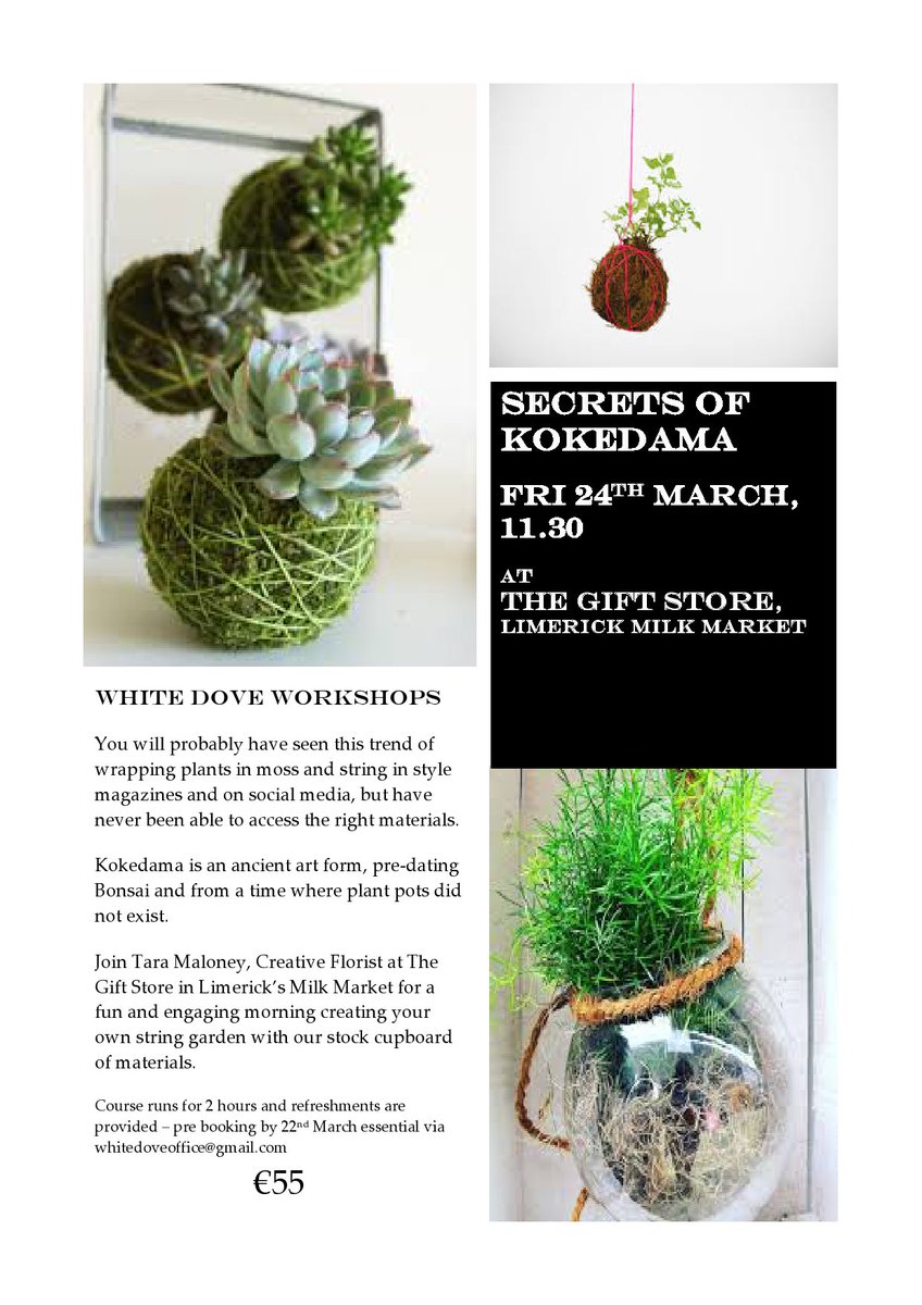 WhiteDoveLMK's tweet photo. #Limerick five days left to book for our fun and creative workshop on Fri 24th March #create #limerickstyle #gardening #interiorstyle https://t.co/aSQKaFpxBU