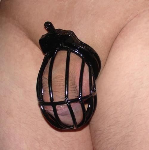 #chastitybelt. #cuckold. #keyholderin. #keusch. #keuschling. #chastity. #pe...