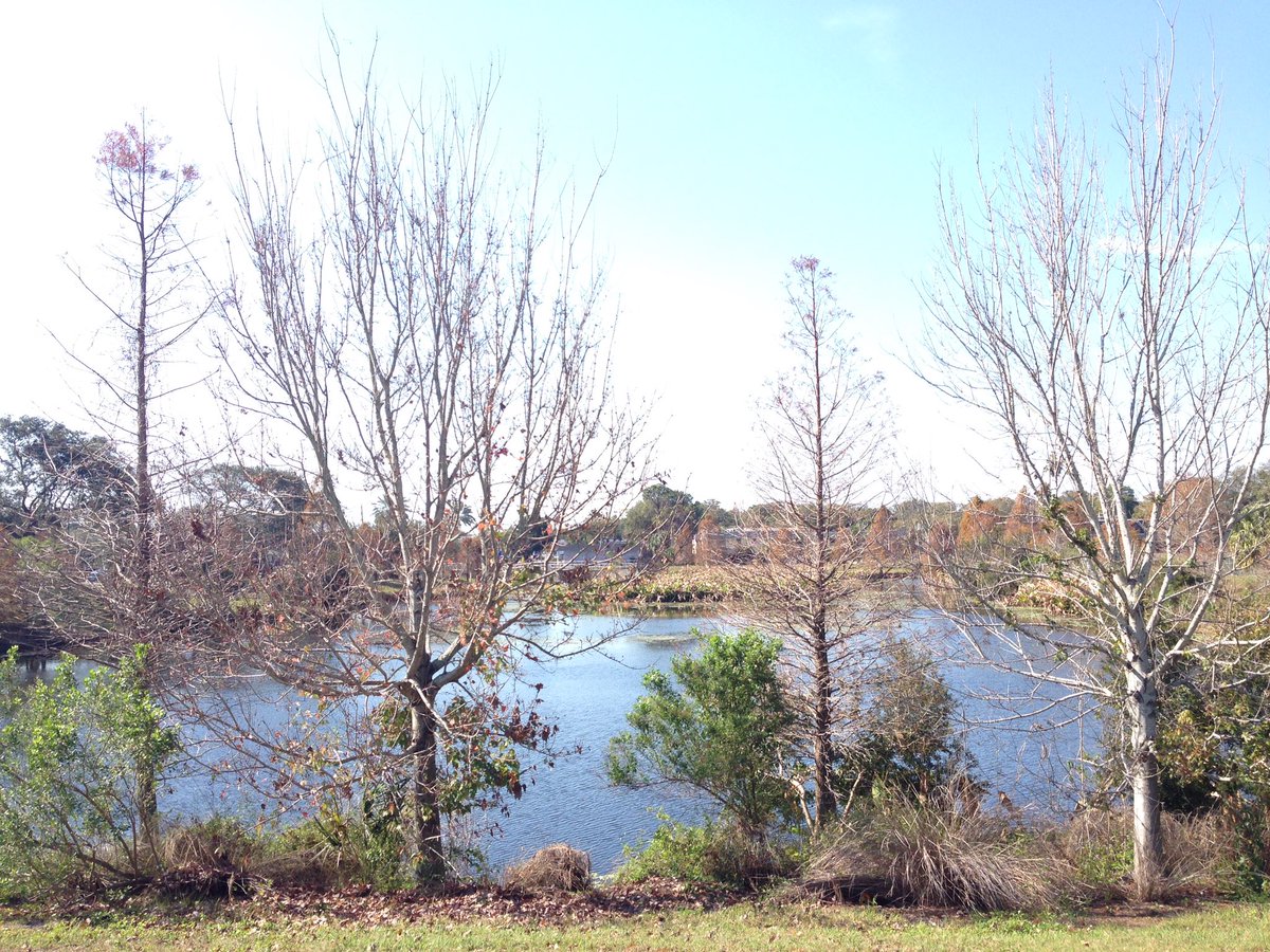 MrKentEduLeader's tweet photo. Office view.  Brisk 64 degree Florida day. https://t.co/i8JvmFwWOB