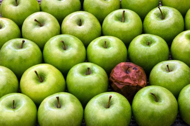 MartinMakepeace's tweet photo. West End: The "Rotten Apples"

https://t.co/XyJWTYxYcy https://t.co/wa1nOR9Upd