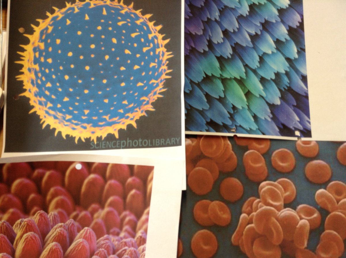 RMS MAKs tweet media