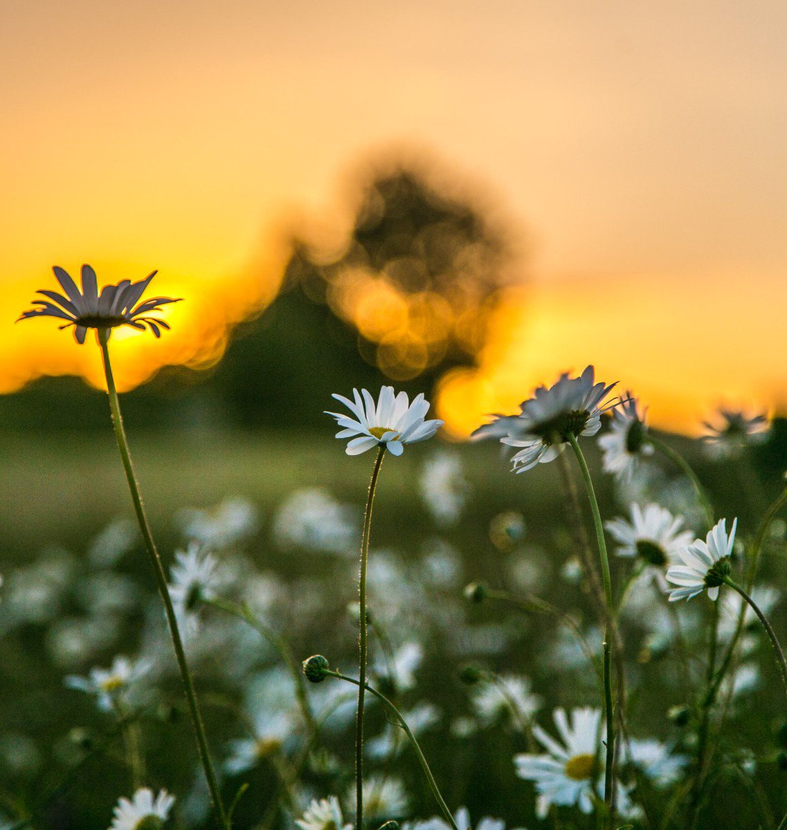 욕심을 버리니 
스쳐가는 바람에도 고마움을 느끼고

길가에 피어난
이름모를 꽃도 귀하게 느껴졌으니까.

집착을 버리니
기다림도 그리움이 되더라.

김정한『잘 있었나요 내인생』