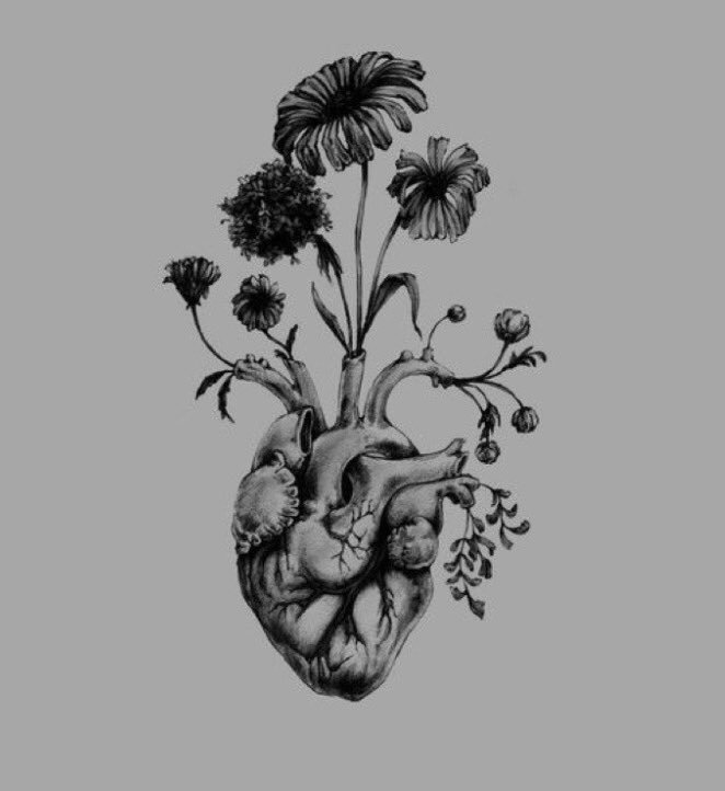 t1money's tweet photo. “Above all else, guard your heart, for everything you do flows from it.”
Prov 4:23 https://t.co/D7uJnwPdid
