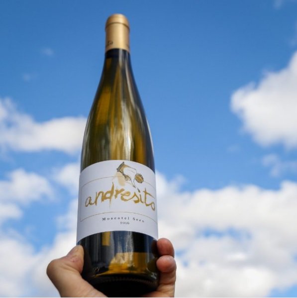 winegram's tweet photo. Andresito. Moscatel seco. Excellent Malaga wine. 2016.
#winegram #shareyourwine #winetime #winelovers #winewords #Espana #malaga #VinoElAmor https://t.co/XDbWecbbSU