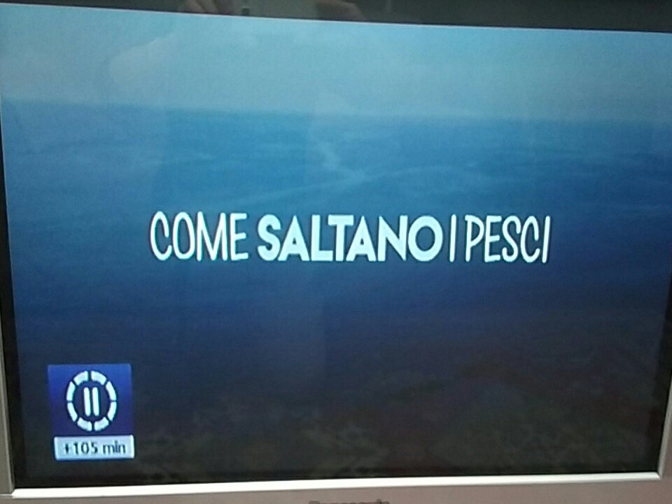 panettiv's tweet photo. @SimoneOtim @ComunePsgInfo le nostre #Marche #il nostrograndecuore https://t.co/hKk2ZjGmZP