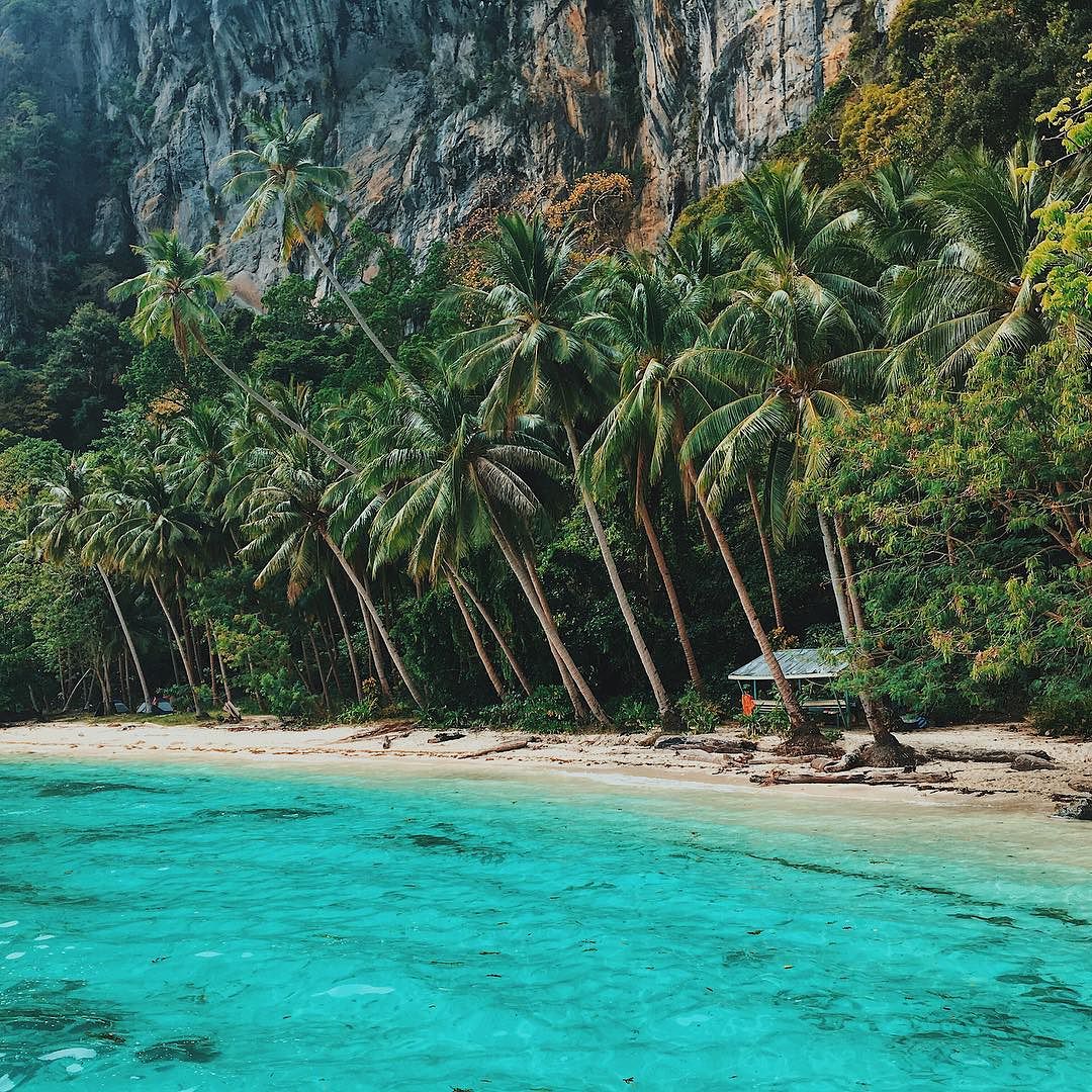 GaminTraveler's tweet photo. Tours in El Nido: Choose the best local experience https://t.co/zzHrMd75ab #elnido #palawan #nativexploration https://t.co/170rrMIV73
