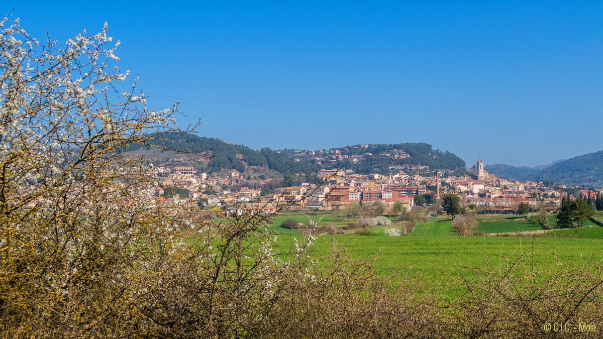 MeteoMoia's tweet photo. Matí #celRas #Moià @alcantara_alb @gemmapuigf @lasextameteo @marcredondo @Cat_Meteo @monicalopez_tve @Monica_Usart @ElTiempoes @bcnmoltmes https://t.co/qEdUAGiJRM