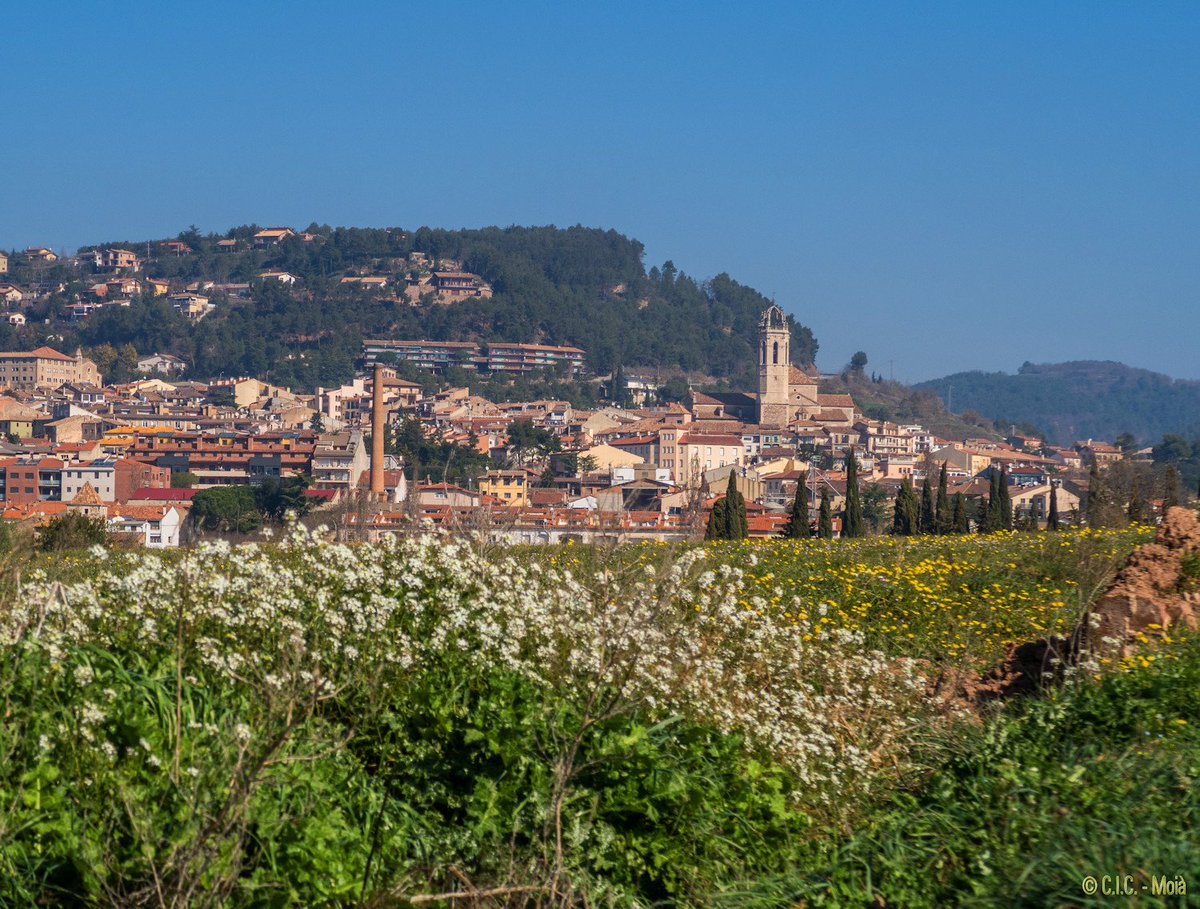 MeteoMoia's tweet photo. Matí #celRas #Moià @alcantara_alb @gemmapuigf @lasextameteo @marcredondo @Cat_Meteo @monicalopez_tve @Monica_Usart @ElTiempoes @bcnmoltmes https://t.co/qEdUAGiJRM