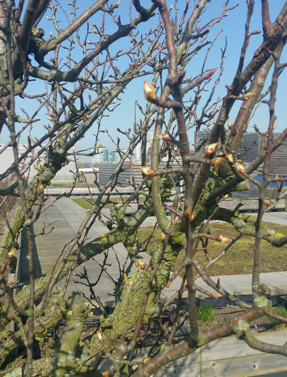 Zuidpark's tweet photo. We zijn ontzettend aan het uitlopen @Zuidpark https://t.co/aBl9ukjYcx
