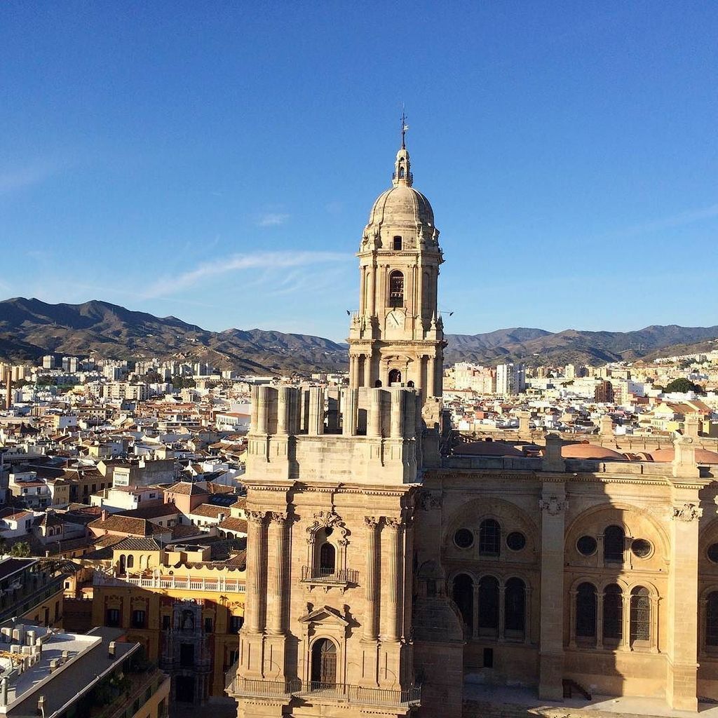 Devour Malaga tweet media