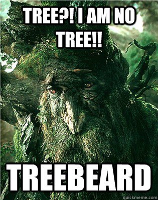 ginson_lp's tweet photo. @abigailcvk TreeBeard aproves this message. https://t.co/1mWMlZoMjV