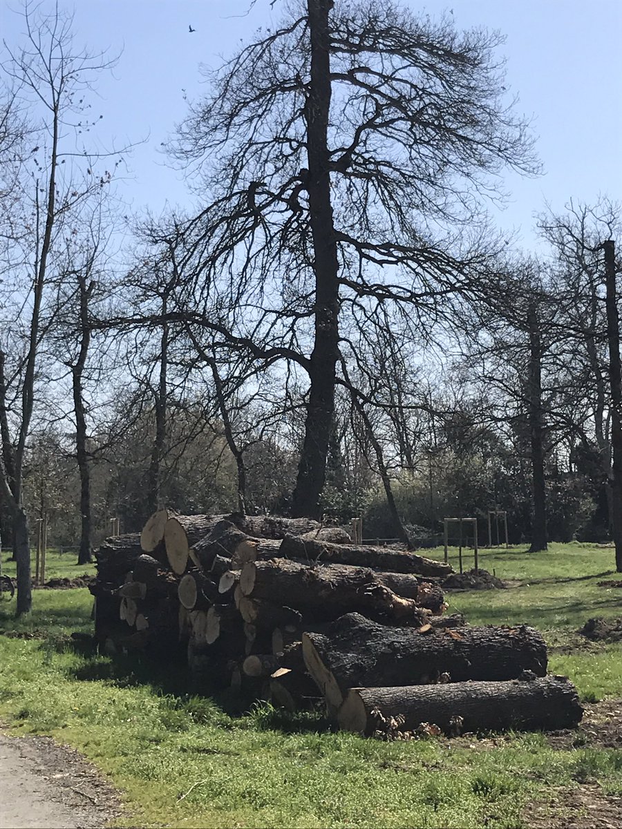 #Toulouse #Lamounède On enlève on replante on coupe 🍃Le parc fait peau neuve 🌲