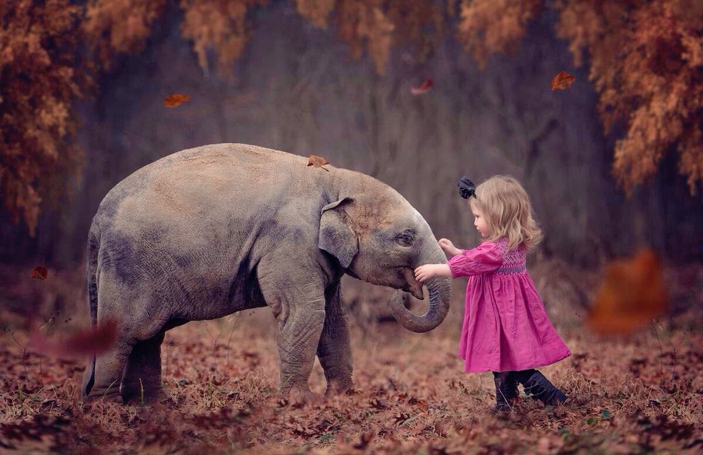 Ava_Av9's tweet photo. Good morning, Have a nice day
Thank you

~ @myall3000 🌷 https://t.co/jMyCEfaFnM