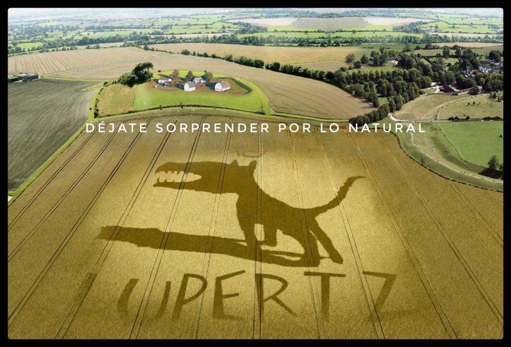LupertzMadrid's tweet photo. En #Lupertz somos uno con la naturaleza.

#deliveroo #malasaña #debier #cervezaartesanal #sanisidro #sanfrutos #malvados #virtus #lavirgen https://t.co/1ik8gnt5eG