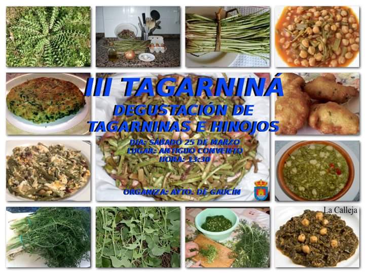 GaucinBlanco's tweet photo. El 25 de marzo III Tagarniná a las 13:30h en el Convento, degustación de tagarninas e hinojos ¡No te lo pierdas! #Gaucin https://t.co/JUC7DHkRWW