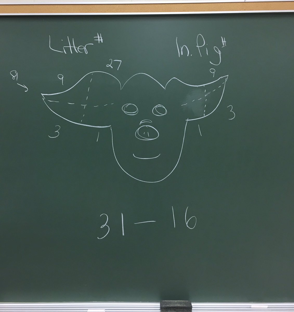 aggeek1's tweet photo. Pig's ears I can notch. Drawing a pig's face not so much! #TeachAg #pigs #earnotching https://t.co/C1iwyRtxVB