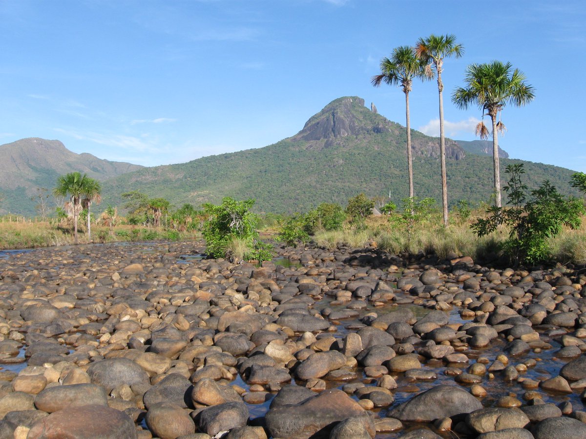 RobertoRaggi4's tweet photo. caño santo- manapiare amazonas venezuela https://t.co/vWAwB79uzB