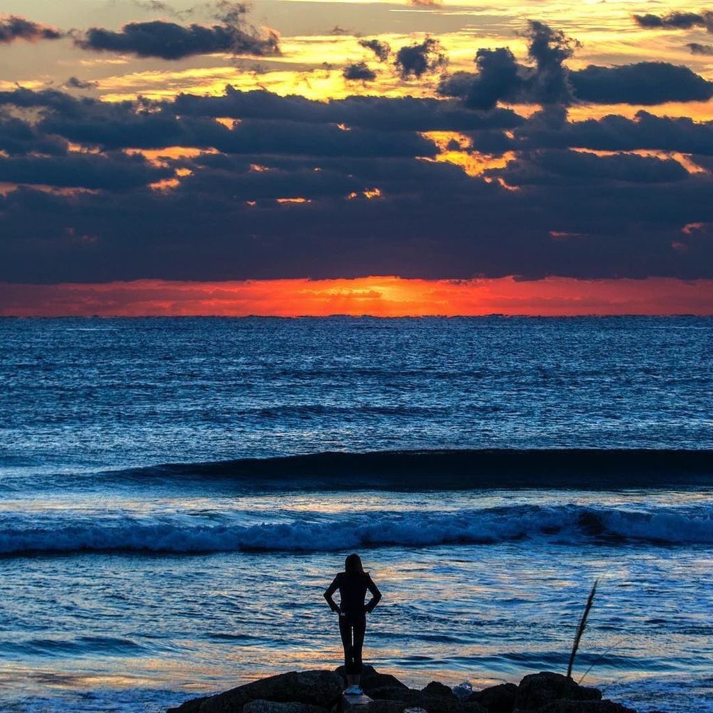 BocaRatonElem's tweet photo. This spectacular event happens each day only 1.3 miles away from your neighborhood school. Good morning #oneBoca https://t.co/PWciLJS9KV