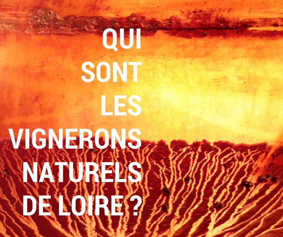 Julie_Rx's tweet photo. #Datapif : qui sont les vignerons naturels de #Loire ? 1er indice : ils ne viennent pas du vignoble. #vinnaturel https://t.co/lqjtnGoUPH https://t.co/3ZBo2R4xhC