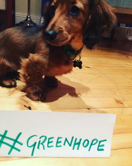 Green Hope tweet media