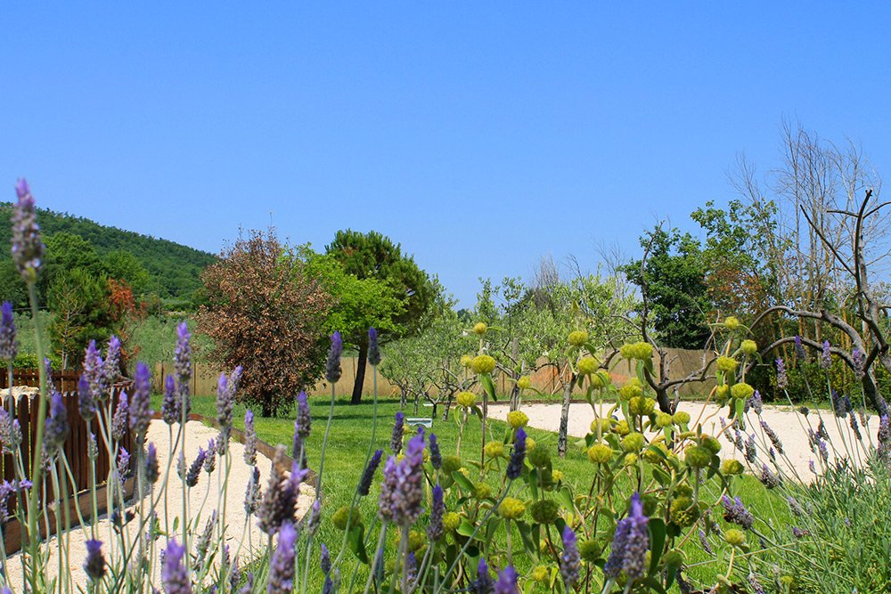 Relais_Paradiso's tweet photo. Al Relais Paradiso è già primavera!
#16Marzo https://t.co/dVA0yfXWYS
