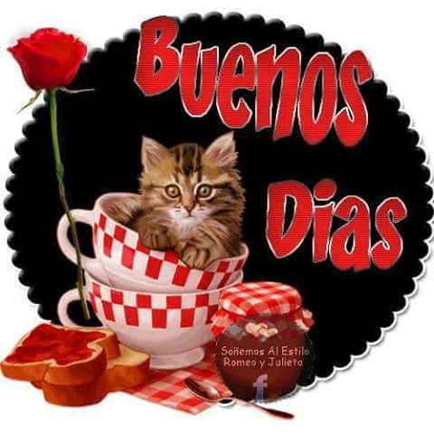 Hola bueno dia para ustede amigo👍👍👍👍