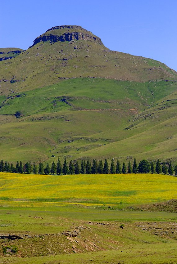 Register for the 2017 Legacy Tour, online entries open, and limited to 100 teams of 2: legacytour.co.za/registration-1/