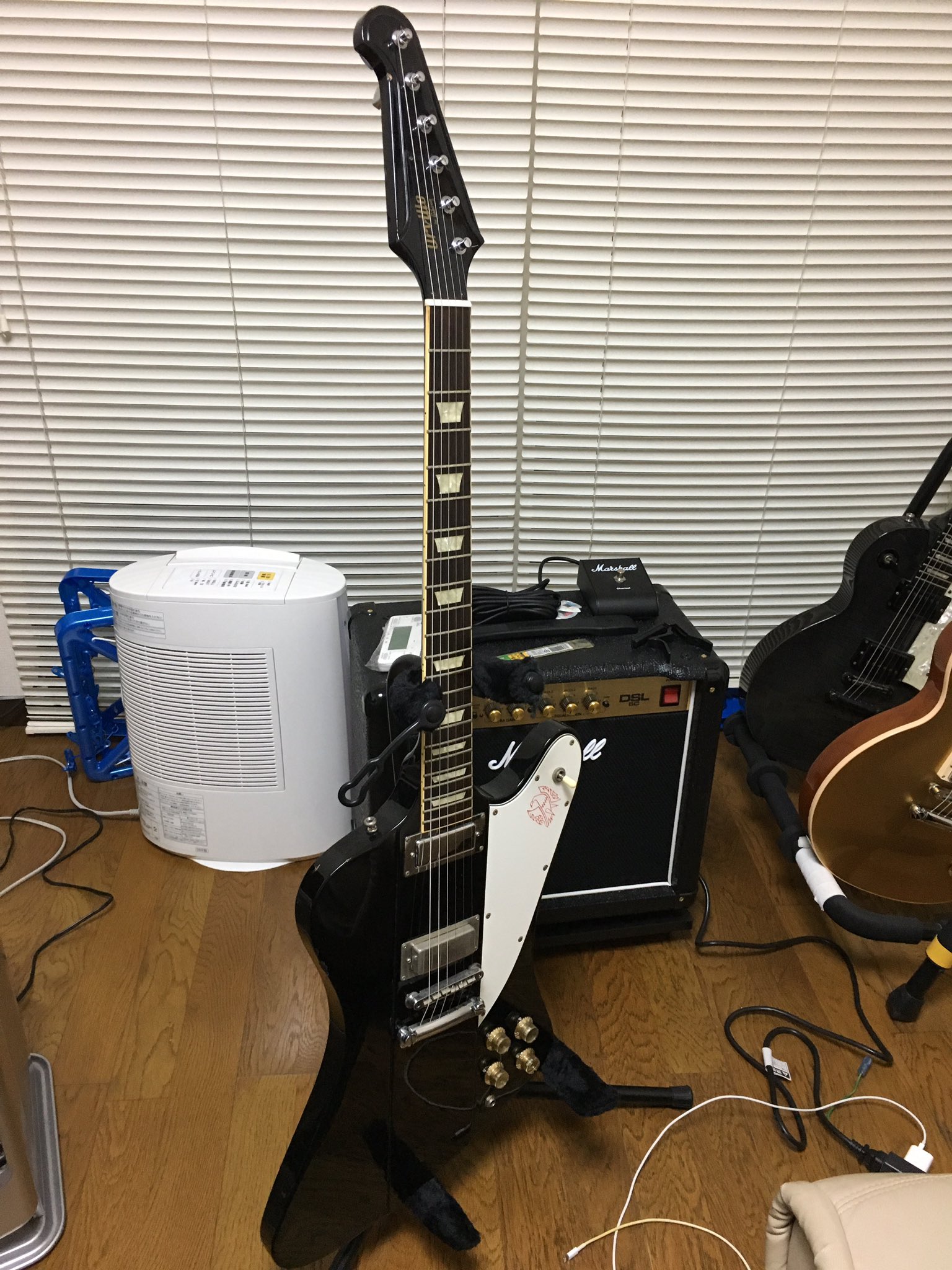 ギブソン ファイヤーバード クルーソン バンジョーペグ | www.jarussi