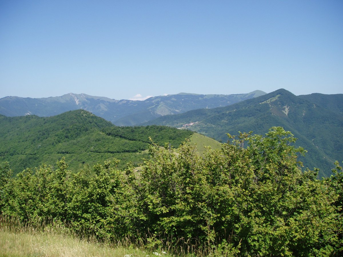 Galgenovese's tweet photo. La #Castagna avanza!
Oggi e domani consegna dei cartelli dell'itinerario #StradadelCastagno nei Comuni della Valle #Scrivia
#lamialiguria https://t.co/OPvYSvr9WL
