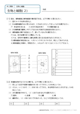 ちびむすドリル 作成 追加しました 中学２年理科 生物と細胞 練習問題 ５枚 T Co G3bhlugrvp 中２理科プリント本日より制作公開を開始 33chiropteran ササ様にリクエスト頂いたおかげで中学理科の制作再開に踏み出せました ありがとう