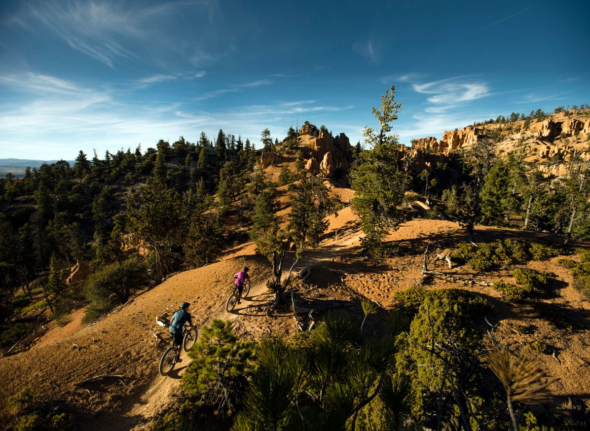 Madison Trek Stores tweet media