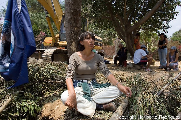 E_Fourword's tweet photo. Honoring Flora Guerrero Goff for #womenshistorymonth. #womeninnature #femthefuture #GuardianesdelosArboles #FloraGuerreroGoff https://t.co/Bxkh9aJ1mM