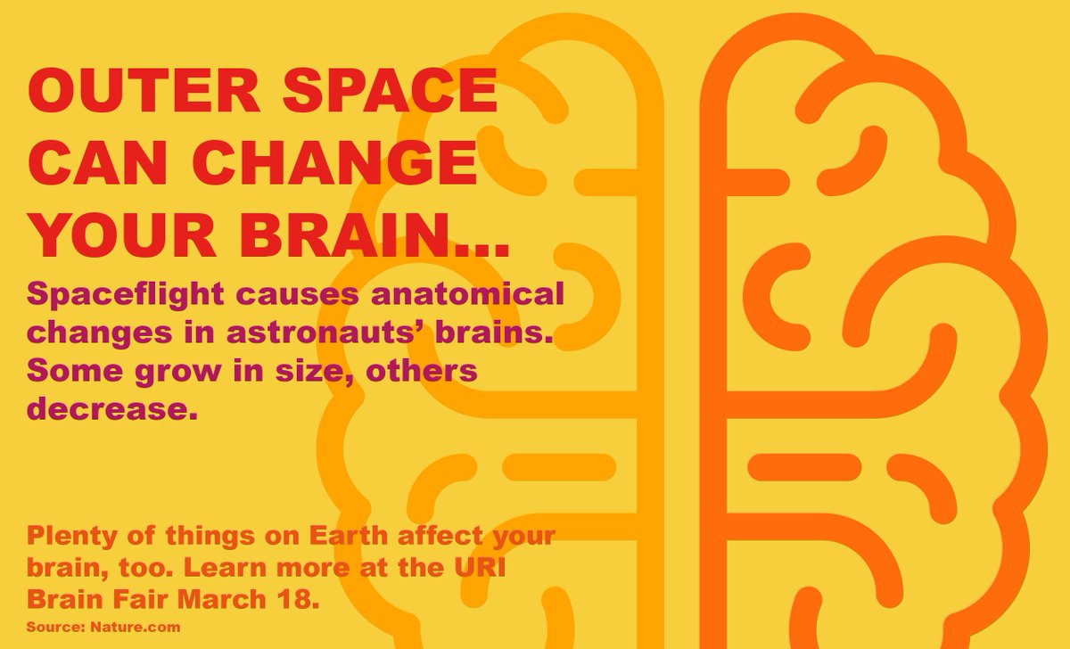 universityofri's tweet photo. Today’s #URIBrainFair fact? It’s out of this world. Learn more at Saturday’s free event on the Kingston Campus: https://t.co/ajn3lQJWCM https://t.co/STjDsdpDvL