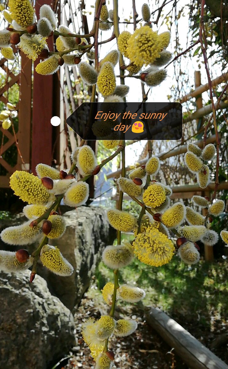 motivmusic9x's tweet photo. Genießt mit guter Musik den schönen Tag #sun #spring #feelings #motivation #music #motivationthroughmusic #inspiration #fun #smile #flowers https://t.co/EZdRufZAjV