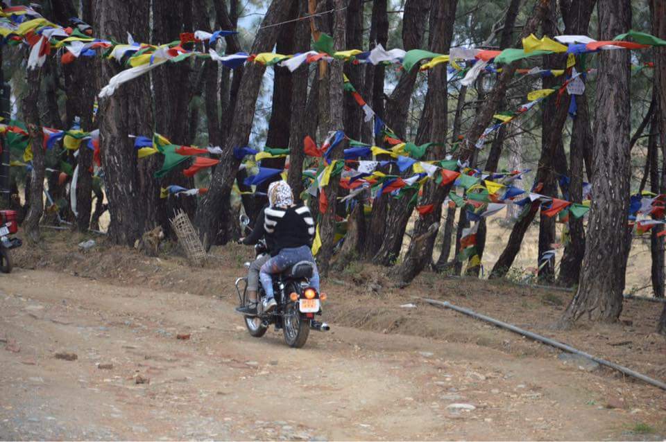 ShimlaRider's tweet photo. #Maclo #Riding #Enjoy
Contact : 9816263555 https://t.co/GfqrFE3zzv