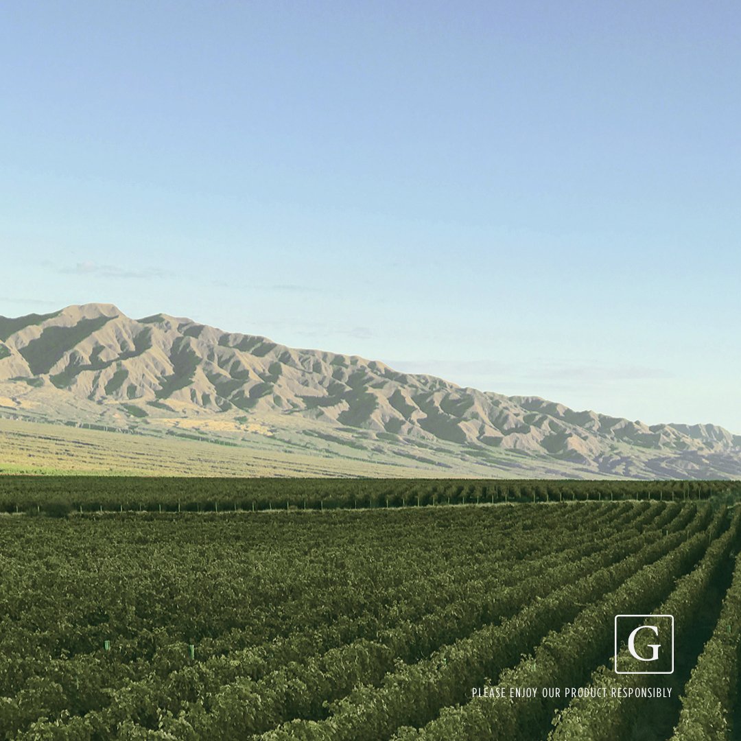 GraffignaUK's tweet photo. From Argentinian soil, to your glass #Graffigna #NeverTimid https://t.co/WCNkCk0F6R