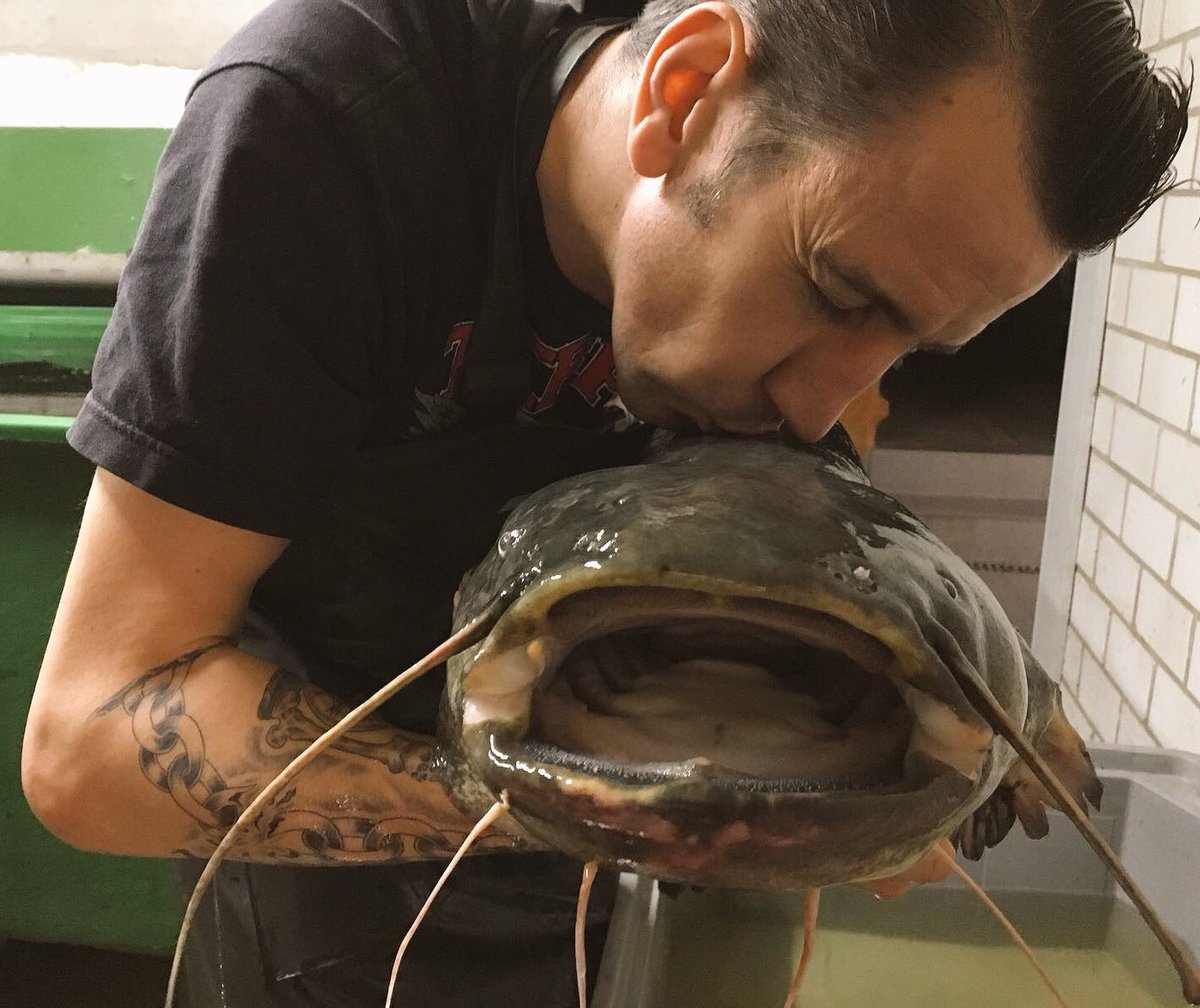 Respektiere das #Tier, das du züchtest! Ich durfte heute wieder #Waller-Hebamme sein. :) #respekt #hardcorefood #wels #fischzucht