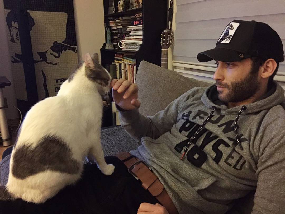 C7D17OvWYAErXfJ.jpg:large