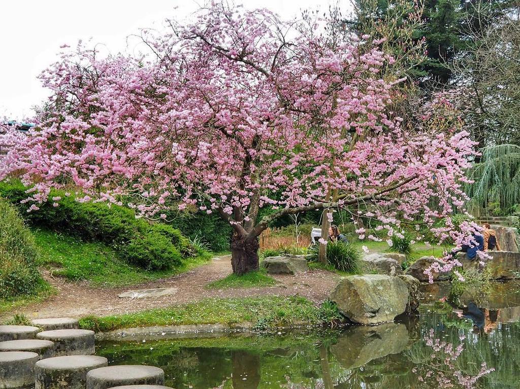 HalluciNantes's tweet photo. La vie en rose 
#igersnantes #igersfrance #lvan #nantesfr #igrecommend #gf_france #ig_fran… https://t.co/mrdqKDHySl https://t.co/gaoxzpbLRB