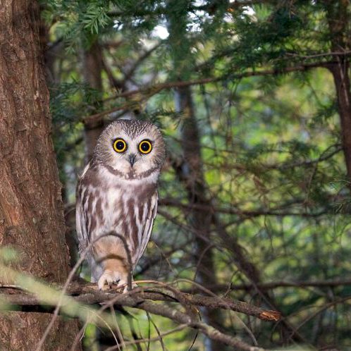 Take a look! @ltsexperts spring course schedule now here: ltsexperts.com/services/susta… Learn #LifeCycleAssessment #ProductSustainability #SimaPro