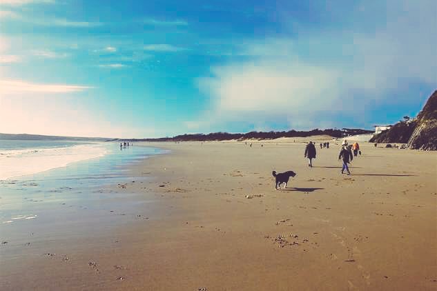 FBMHolidays's tweet photo. Our new property on the beach, Waters Edge, 3. Also available for @ironman_wales #IMWales https://t.co/vPuOGug3K8 #Pembrokeshire https://t.co/SkkAONsAc6